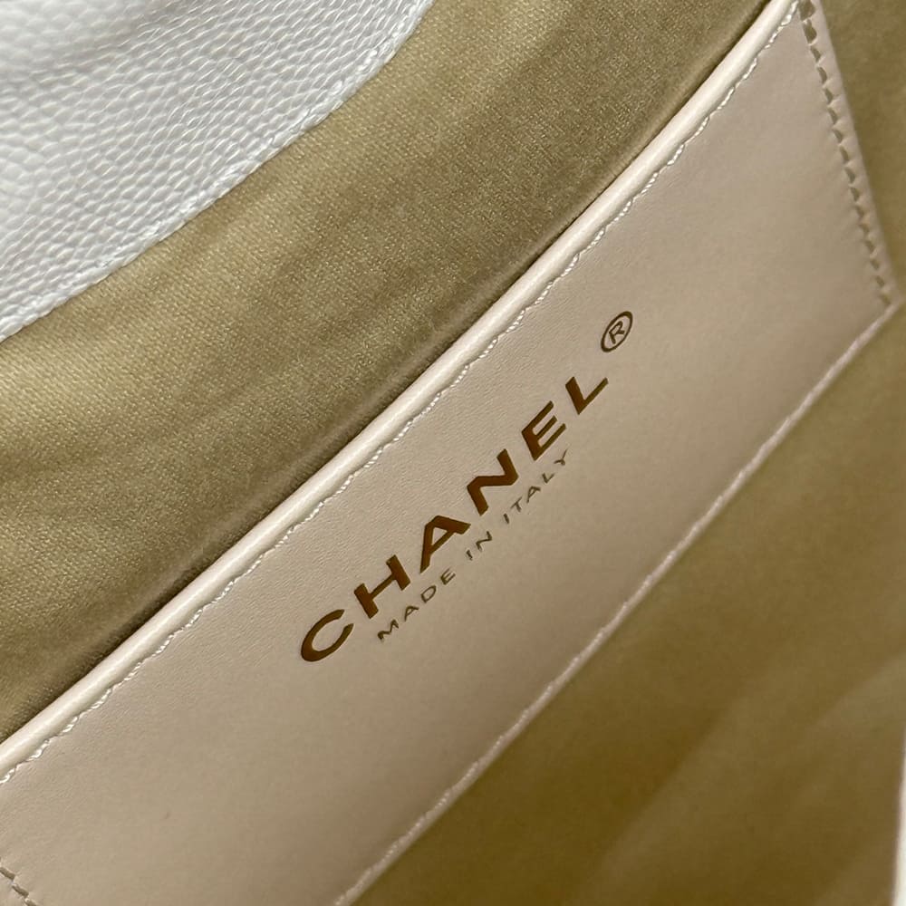 CHANEL 25 Small Handbag(HIGH-END GRADE)